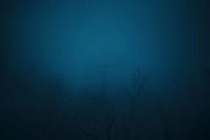 Picture provided by Rocco Germani 03/10/2024